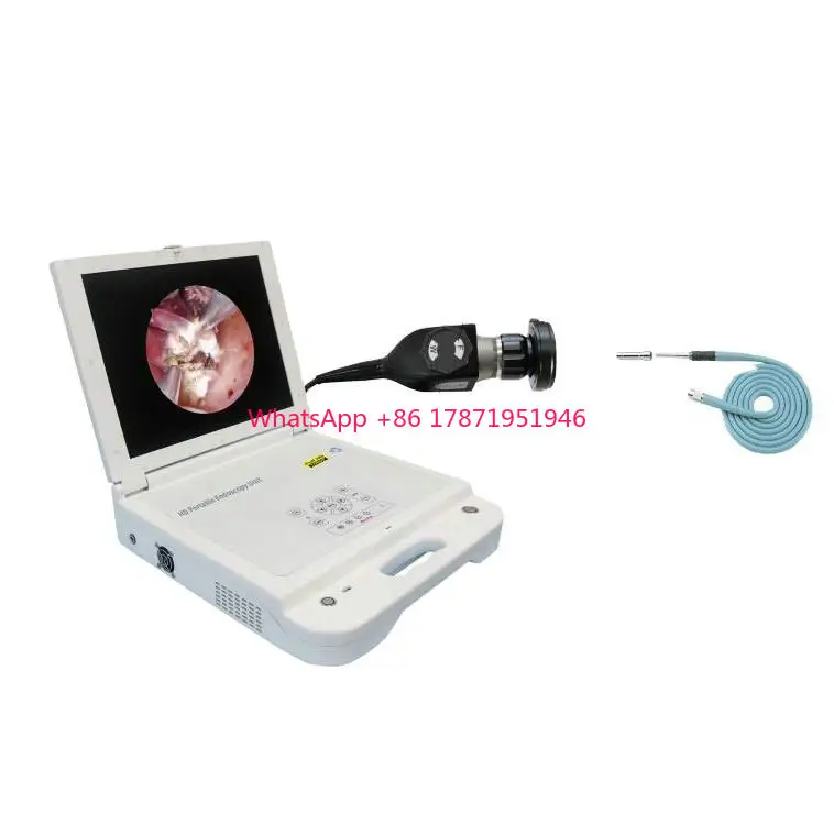 

17 inch HD portable endoscopy camera unit for laparoscopic laparoscopy ent arthroscopic arthroscopy