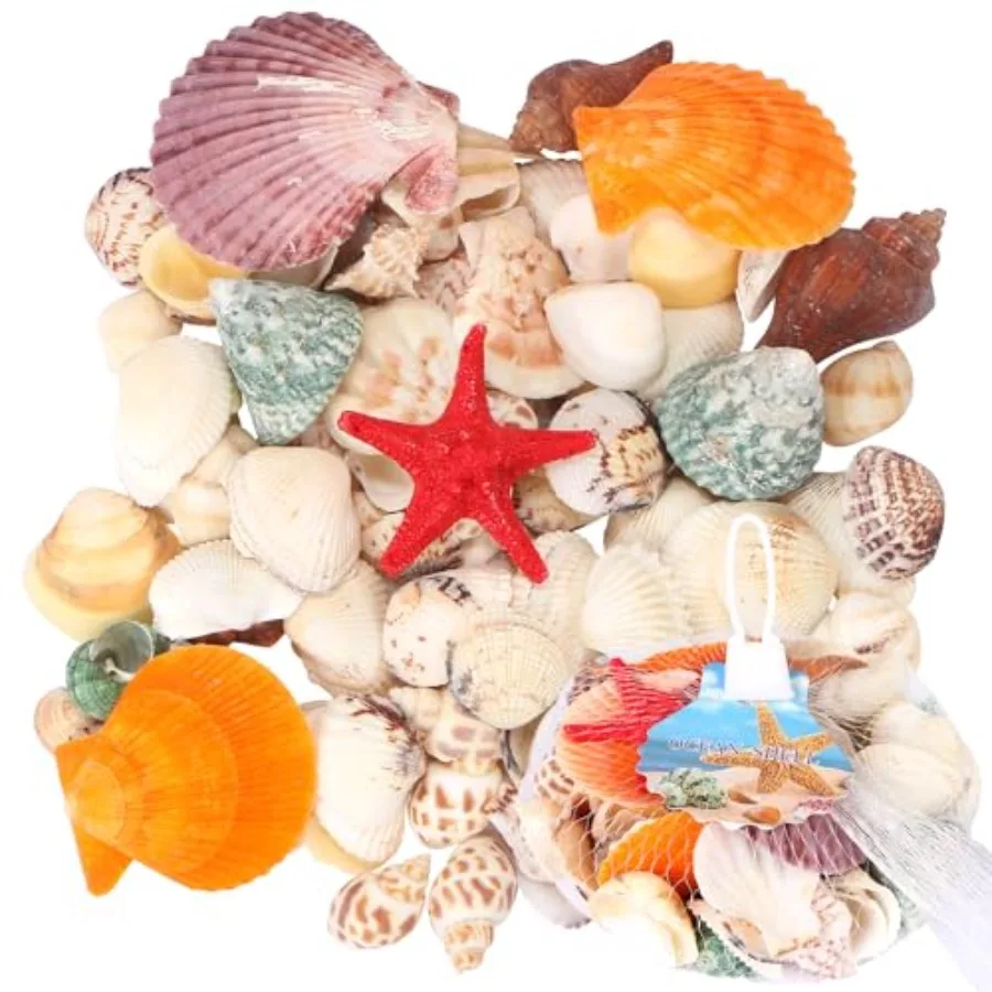 

100 pcs Sea Shells Mixed Beach Seashells, Colorful Natural Seashells for Candle Making Home Decor, Beach Theme Party, DIY Craft