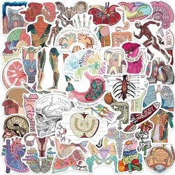 10/30/50pcs Human Body Organ Anatomy Stickers Cartoon Graffiti Decals DIY Scrapbook Notebook Suitcase Waterproof Sticker Decor