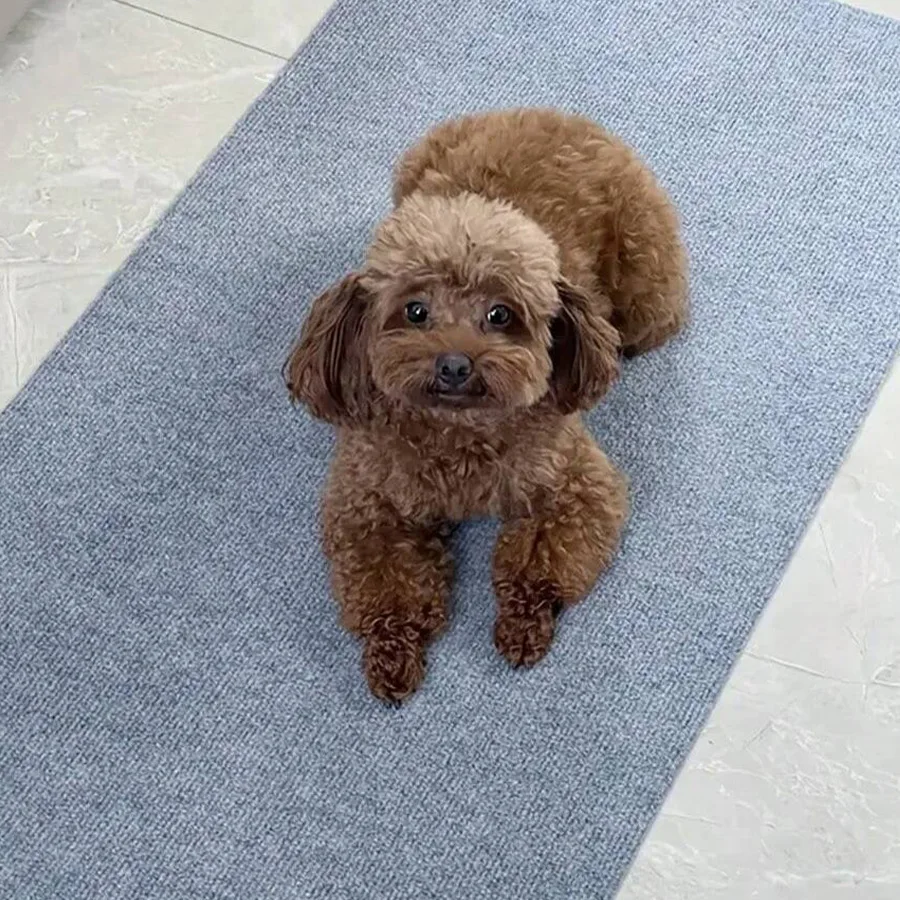 Heavy Duty Self-Adhesive Rug - Waterproof Non-Slip Carpet Tiles for Indoor Floor, 30x30cm Home Office Mat, No Trace Removable