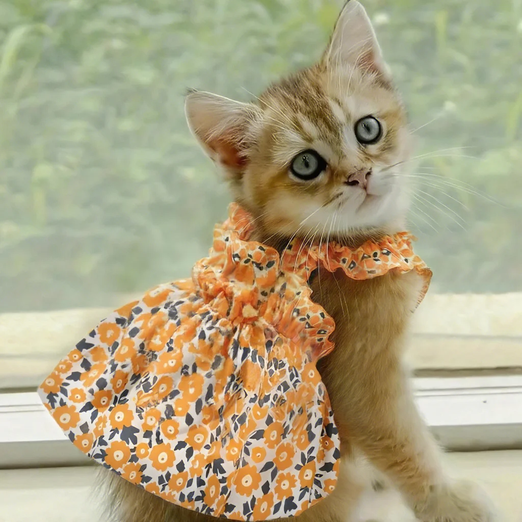 Modisches Katzen- und Hundekleid, ärmellos, mit Blumenmuster, schmal geschnitten, Katzen-Prinzessinnenkleid, Hundekleid, Sommerkleidung, Welpenrock, Chihuahua, Bichon – Detail 4
