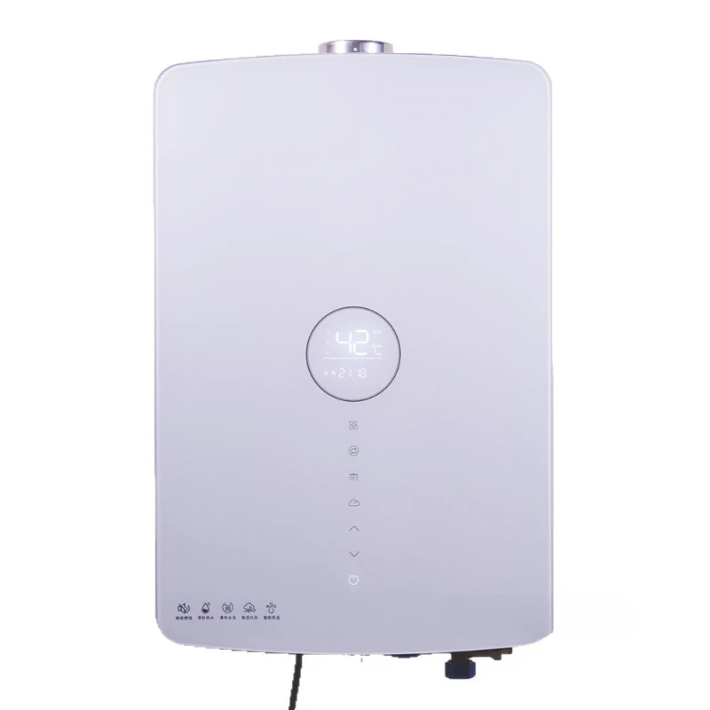 Energy-saving gas water heater 20L/24L intelligent WIFI strong exhaust constant temperature antifreeze