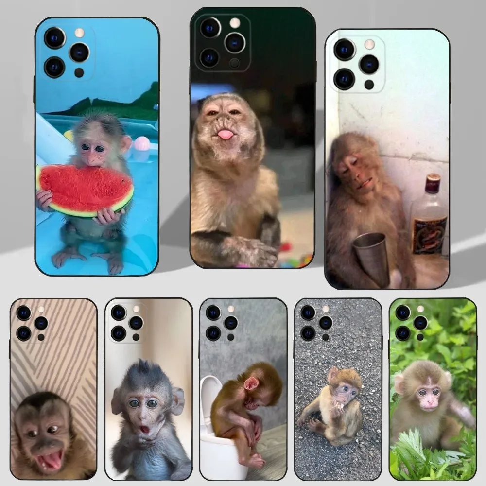 

Cute Funny Monkey Phone Case For iPhone 16,15,14,13,12,11 Plus,Pro Max,XS,X,XR,SE,Mini,8,7 Soft Silicone Black Cover