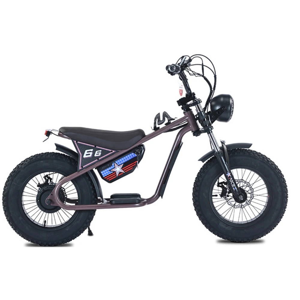 

Kids E Bike For 10 Year Old Child Single Speed 250W Motor Strong Frame Electric Children's Bicycle
