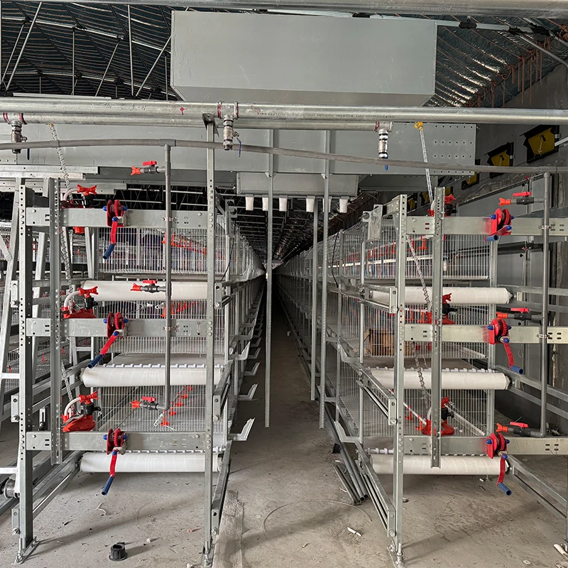 High Quality Steel Egg-Laying Hen Layer Cage Economical Chicken Coop with Automatic Features for Farm Use Direct Export