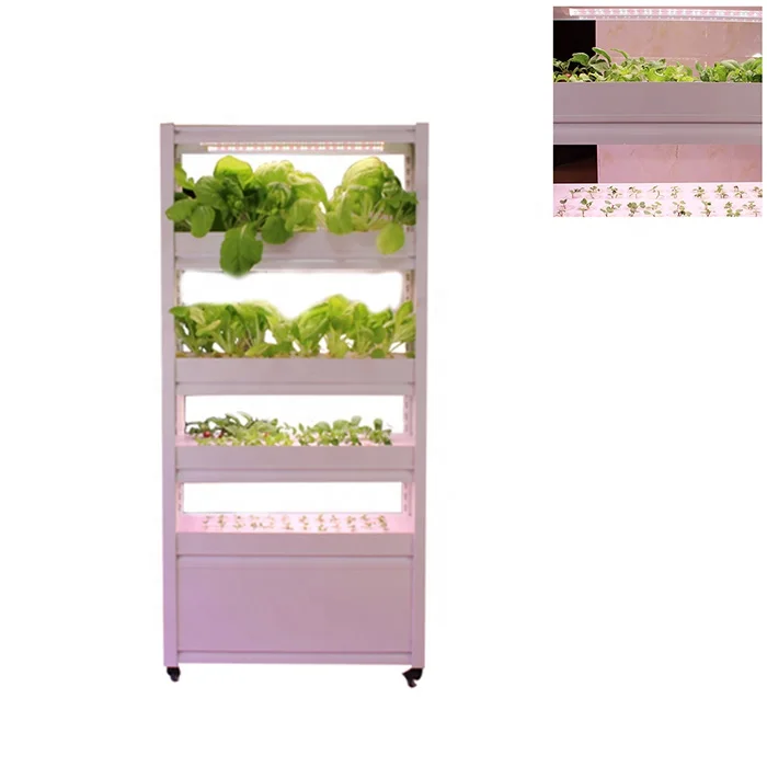 Soilless Agriculture Smart Garden Hydroponic Machine Vertical Hydroponic Indoor Home Growing Vegetable Systems