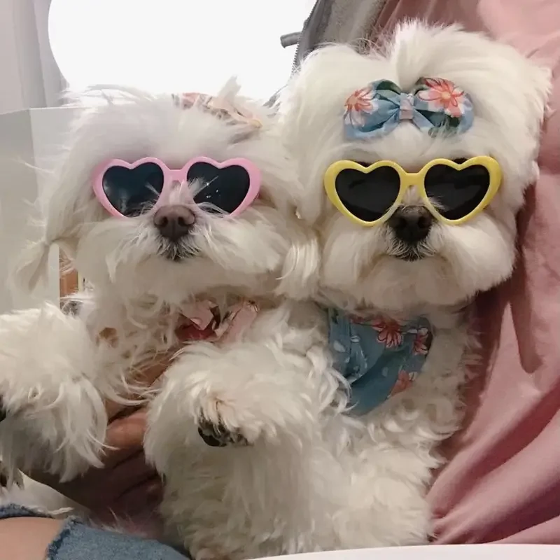 Gafas de sol con forma de corazón para perros y gatos, lentes de sol con lazos para mascotas, decoración para el pelo de mascotas, accesorios para