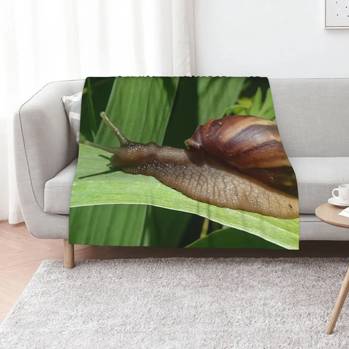 Large Brown Snail Ahatina on Green Leaf - Funny Science Biology Gift Throw Blanket Furry Custom Sofa Soft Big Blankets