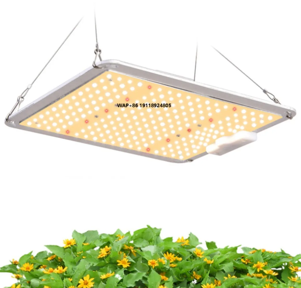 Full Spectrum Horticultural Lighting LED Grow Light 100W 220W 450W 600W IP65 5 Years Warranty CE RoHS Listed