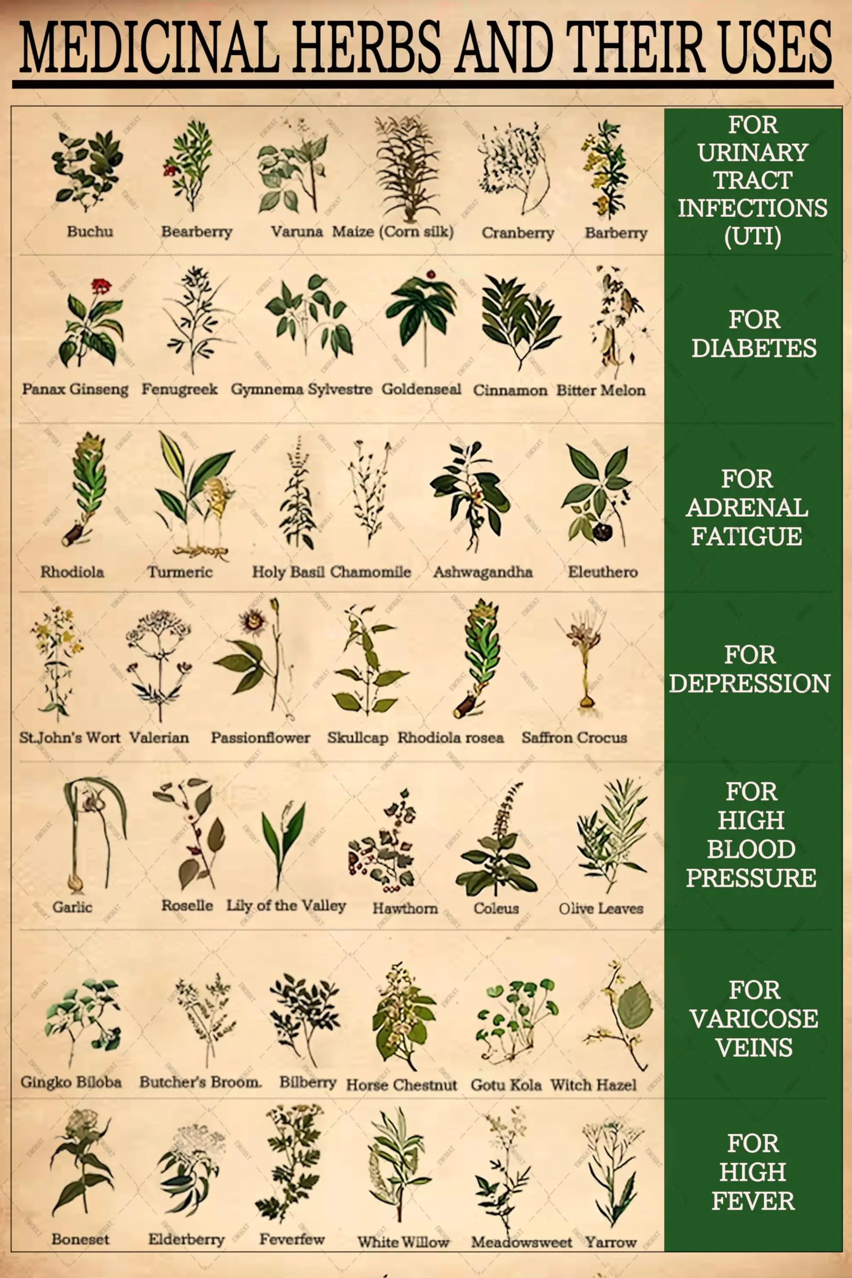 Medicinal Herbs and Their Uses Metal Tin Sign Wall Decoration Posters Wall Decor for Farm Home Farmhouse