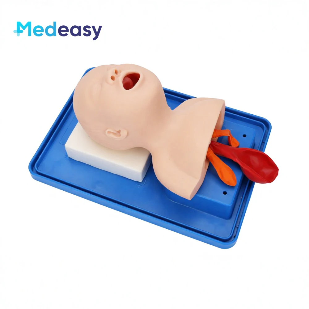 Advanced Infant Tracheal Intubation Training Simulator Model Neonatal Airway Training Manikin for Newborn