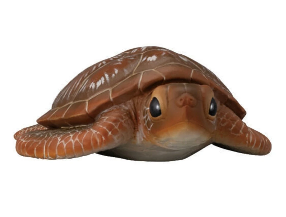 BANDAI Model figur aksi amfibi Land Turtle bayi ikan bunglon ular EX CASHAPON asli versi Q mainan koleksi lucu