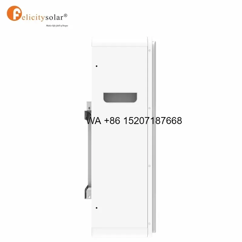 Wmwmnu for Felicity Solar 48V 51.2V Lithium Iron Phosphate Battery with BMS Protection 6000 Cycle Life