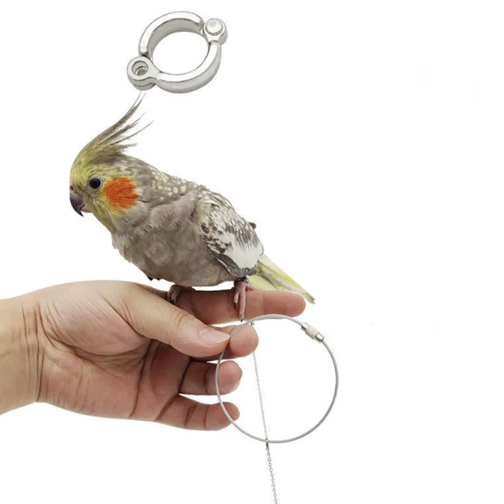 Silver Outdoor Pigeon Cockatiel with Swivel Buckle Parakeet Foot Chain Parrot Foot Ring Bird Stand Ankle Bird Accessories