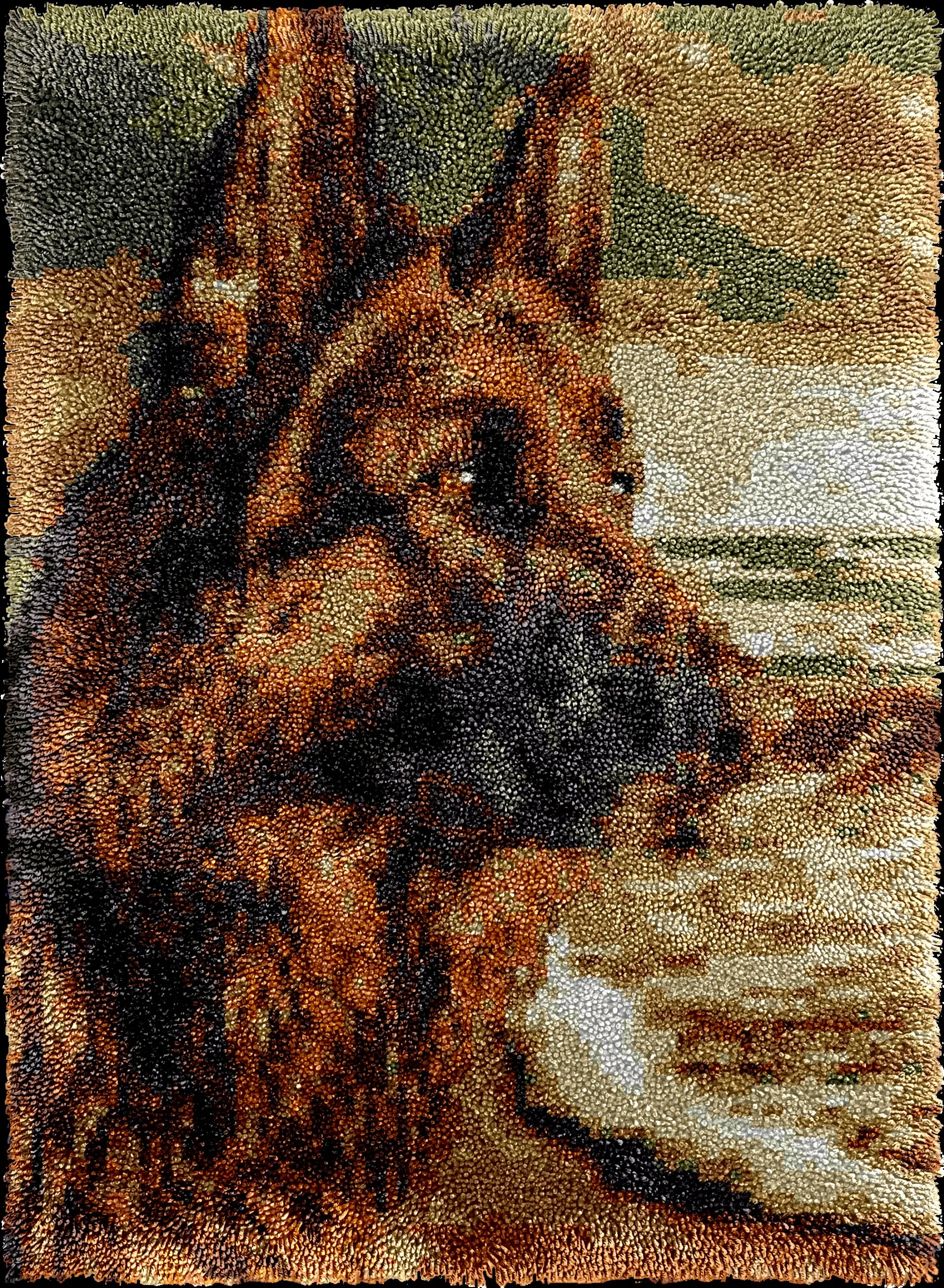 

Latch Hook Rug Kits Tapestry Making Kits with Pre-Printed Canvas Crochet Needlework Crafts for Adult 55-75CM Dog