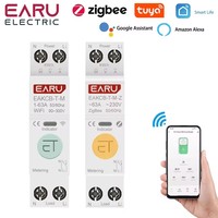 Tuya WiFi Zigbee Smart Circuit Breaker MCB 1P+N 63A Power Energy kWh Voltage Current Meter Protector Voice Remote Control Switch