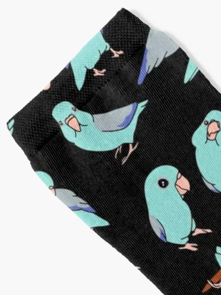 blue fallow parrotlet doodle pattern Socks luxe cycling Christmas Argentina Socks Women's Men's