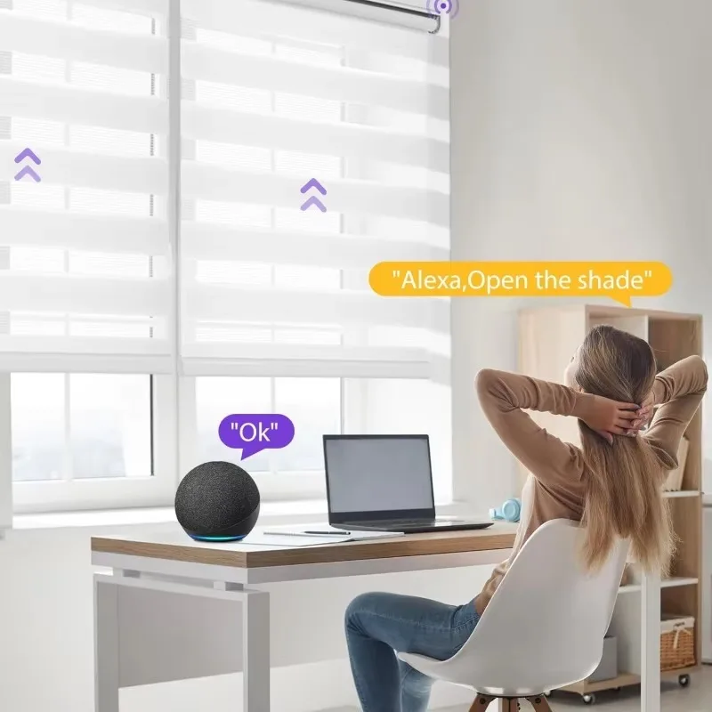 Tuya WiFi Motorized Zebra Blinds, 100% Polyester Dual Layer Light Filtering, Alexa & Google Smart Window Shades