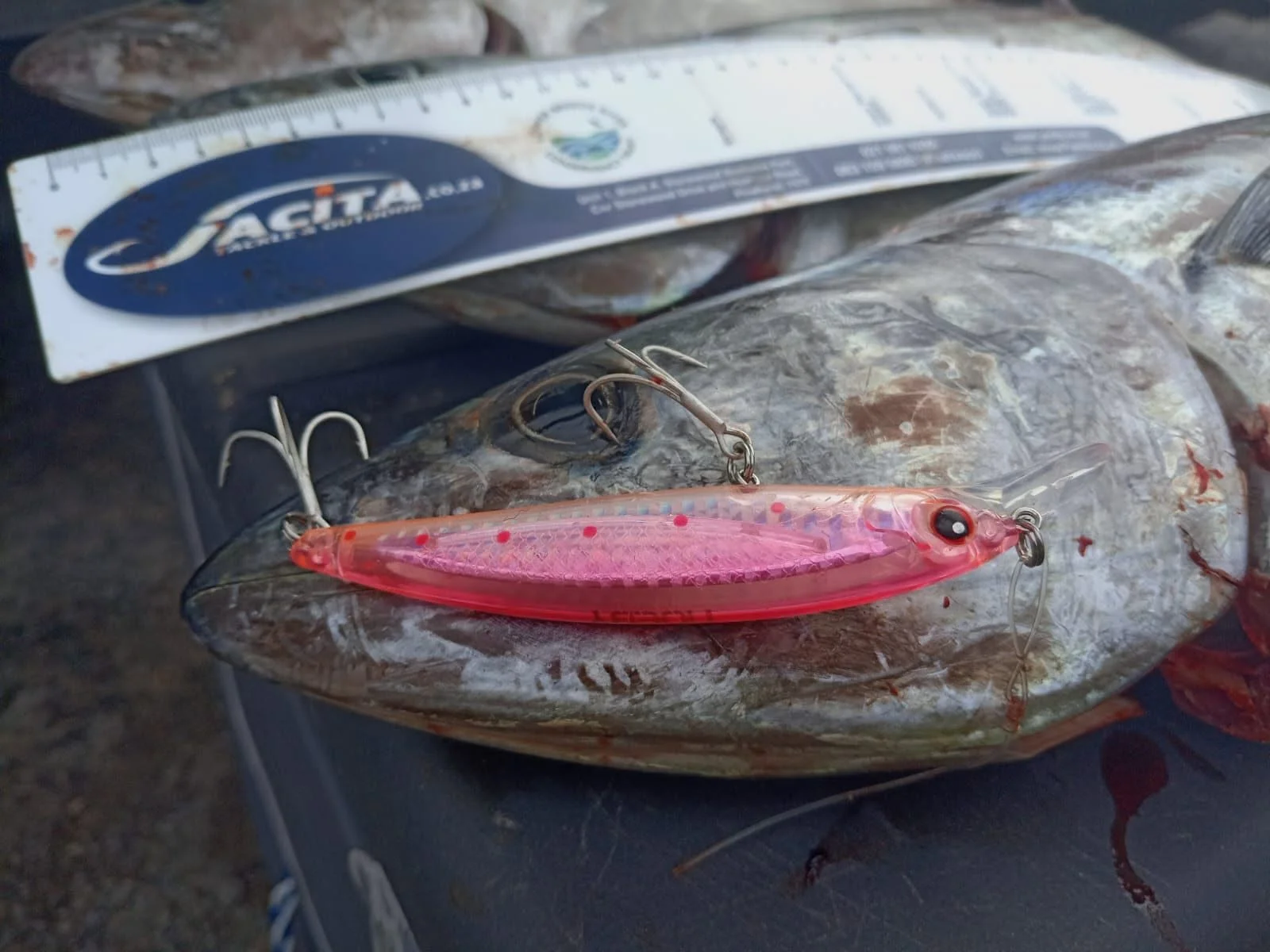 Noeby Minnow Angelköder, 100 mm, 13,6 g, schwimmender Wobbler, Jerkbait, künstlicher harter Köder für Barsch, Süßwasser, Salzwasser-Angelköder – Detail 1