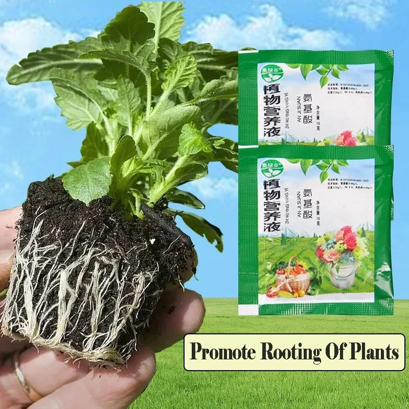 10PC Universal Plant Flower Fruit Vegetable Crop Water Soluble Fertilizer Horticultural Hydroponic Nutrition Amino Acid Seedling