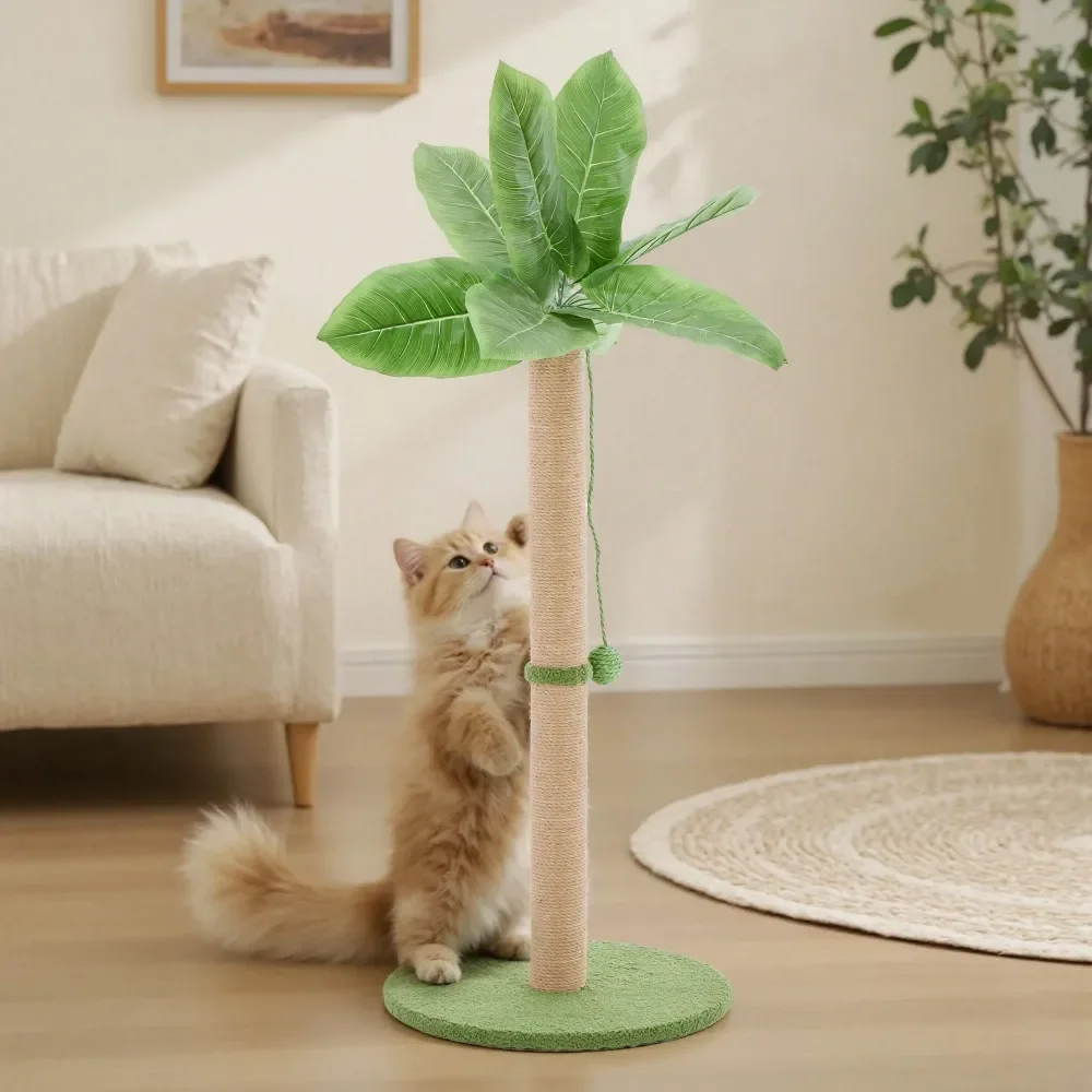 

Cat ching Post, 33 Cat cher Tall ching Posts With Dangling Ball For Indoor Cats, Palm Tree Cat ch Post For