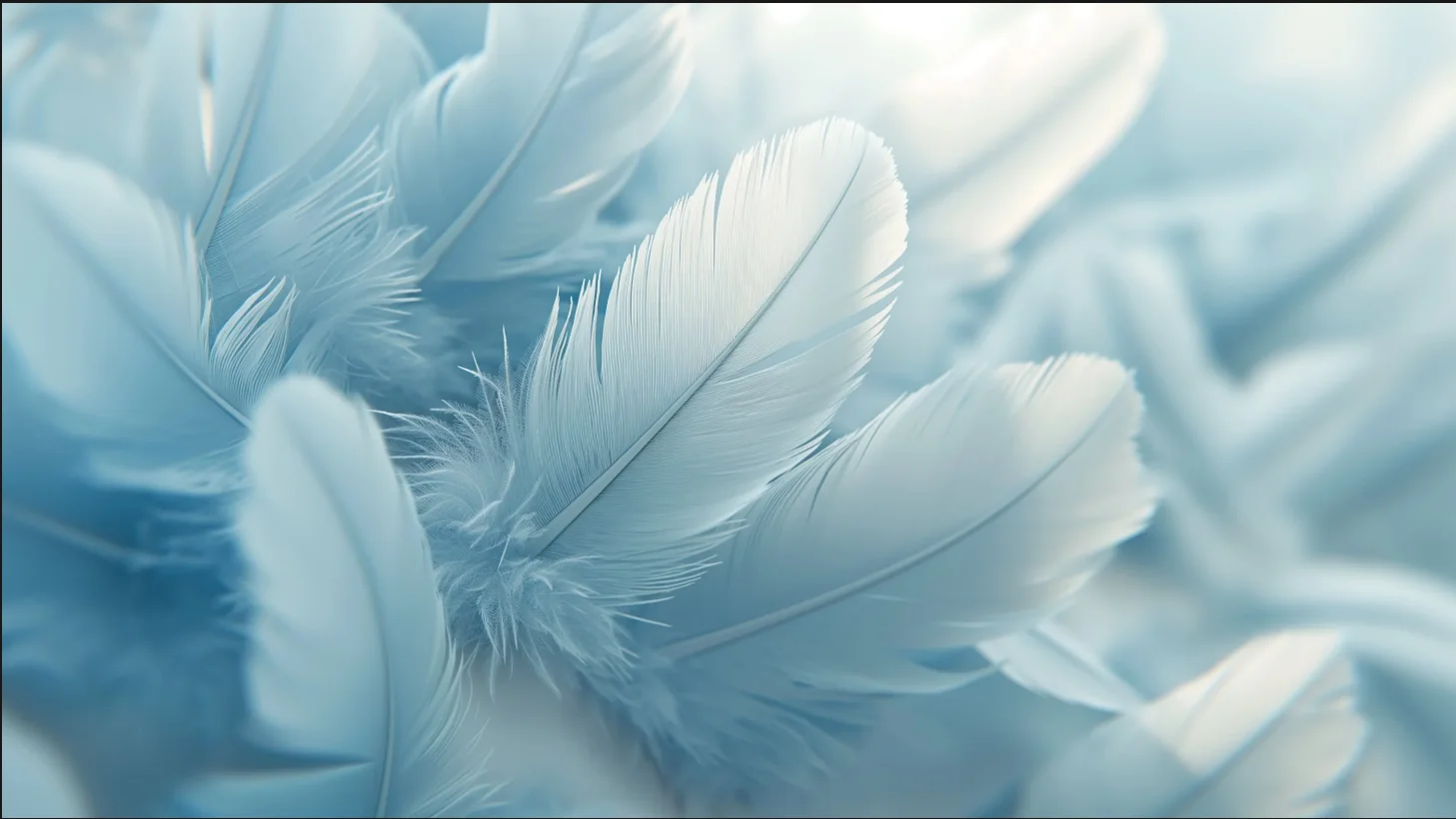 Custom Size Wallpaper 3D Hand-Painted White Feather Mural Home Decor Feather Hanging Painting Peacock Feather Mural 3D Wallpaper