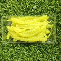 GD55 30pcs 09