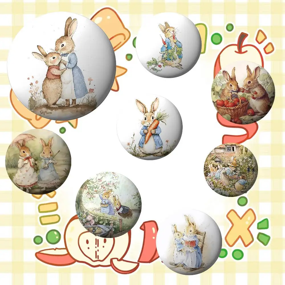 P-Peters R-Rabbits Badges Tinplate Soft Button Pin Brooch Metal Badge Custom Jewelry Accessories Hat Bag Lapel