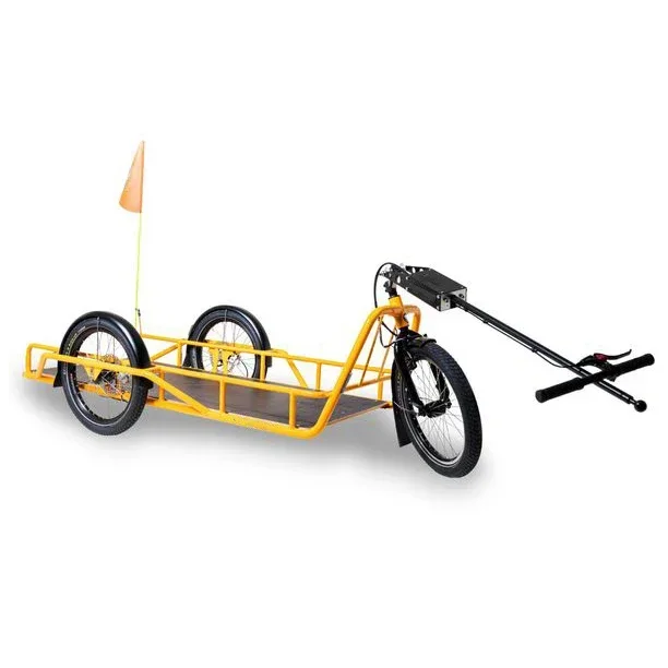 Outdoor Transportation 200 Kg Ebike Cargo 20inch Fat Tire Bike Trailer Bicycle Cargo Trailer