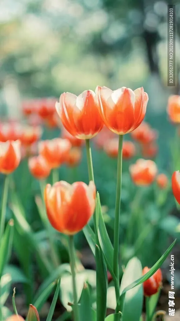 

Установочный винт M2 M2.5 M3 M4 M5 M6 M8 DIN916 304, нержавеющая сталь, шестигранная головка, шестигранная головка, набор «сделай сам», дверные ручки, болт для крана