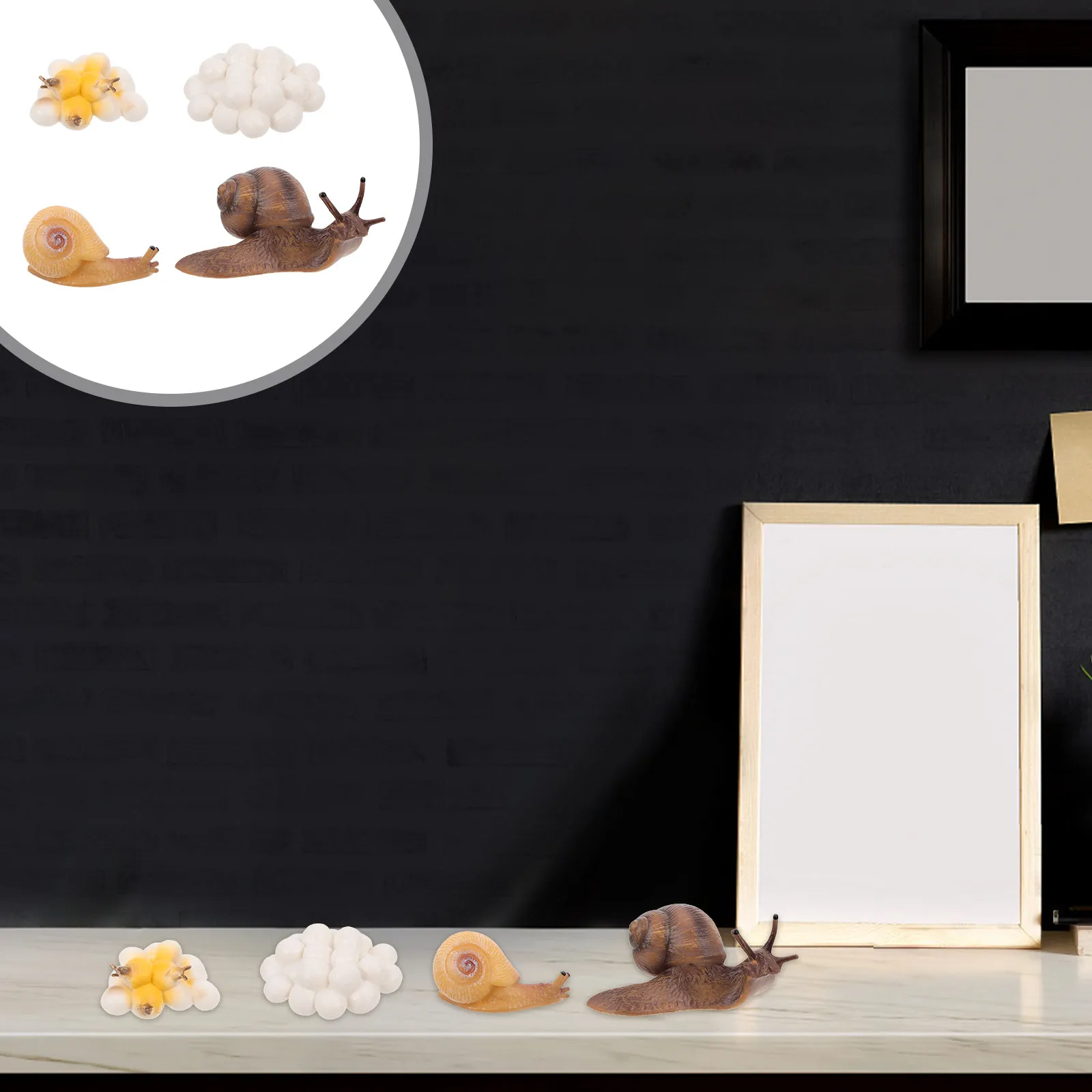 4Pcs Snail Life Cycle Ornaments Plastic Simulation Set Kids Educational Growth Cycle Decor Cognitive Development Home Decoration