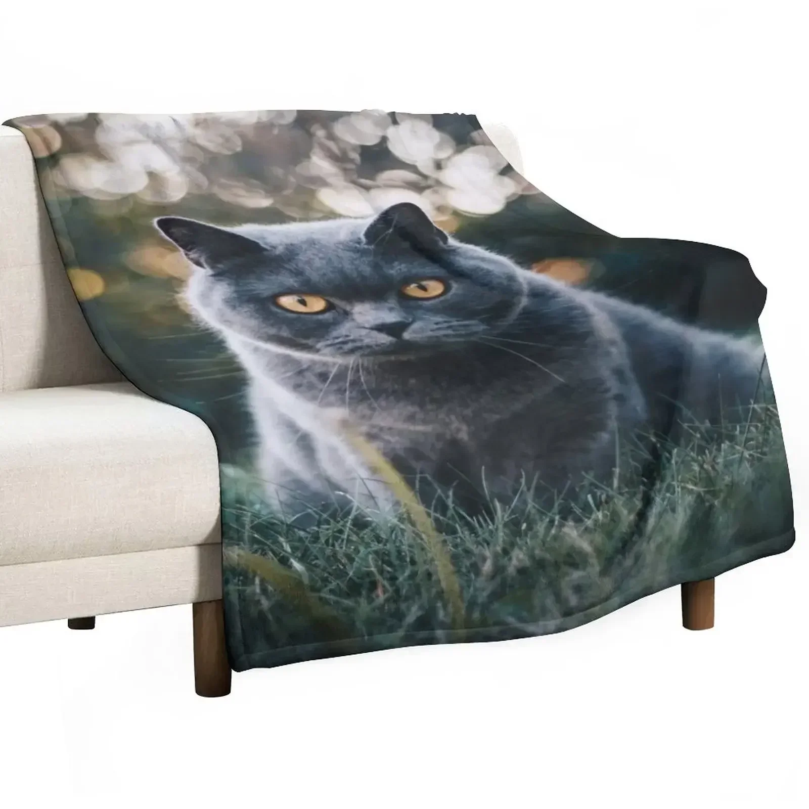 Outdoor Russian Blue Cat Throw Blanket Cute Decorative Beds Heavy Decorative Sofas Picnic sofa bed Blankets