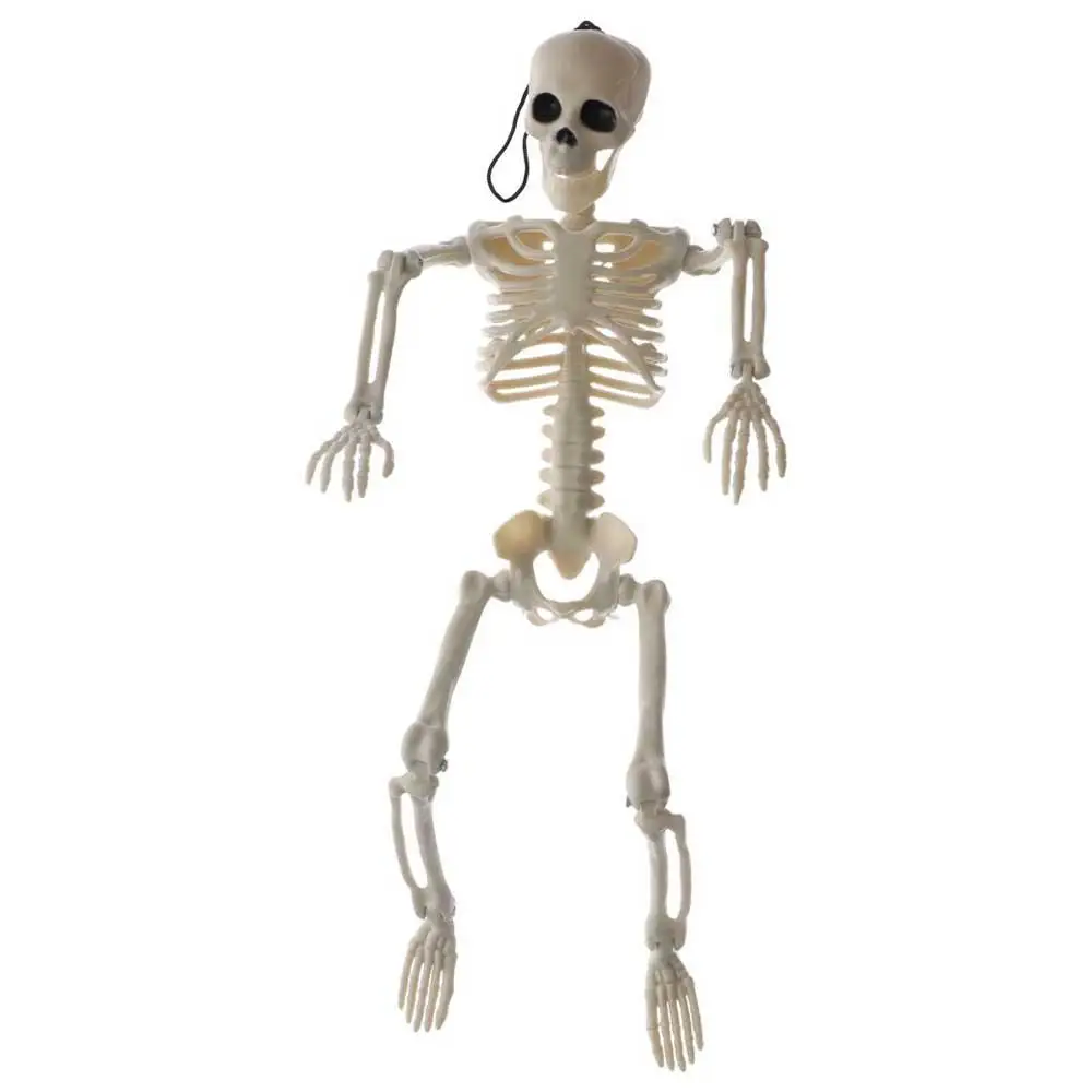 40CM Car Ornaments Decoration Skeleton Art Sketch Human Skeleton Model Anatomy Skeleton People Active Model Car Decoration