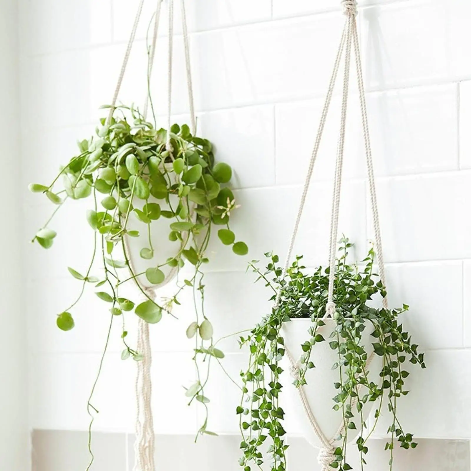 Self Watering Hanging Plant Pot with Water Storage Modern Eggshell Shape Storage Plant Container Home Garden Flower Pot Holder