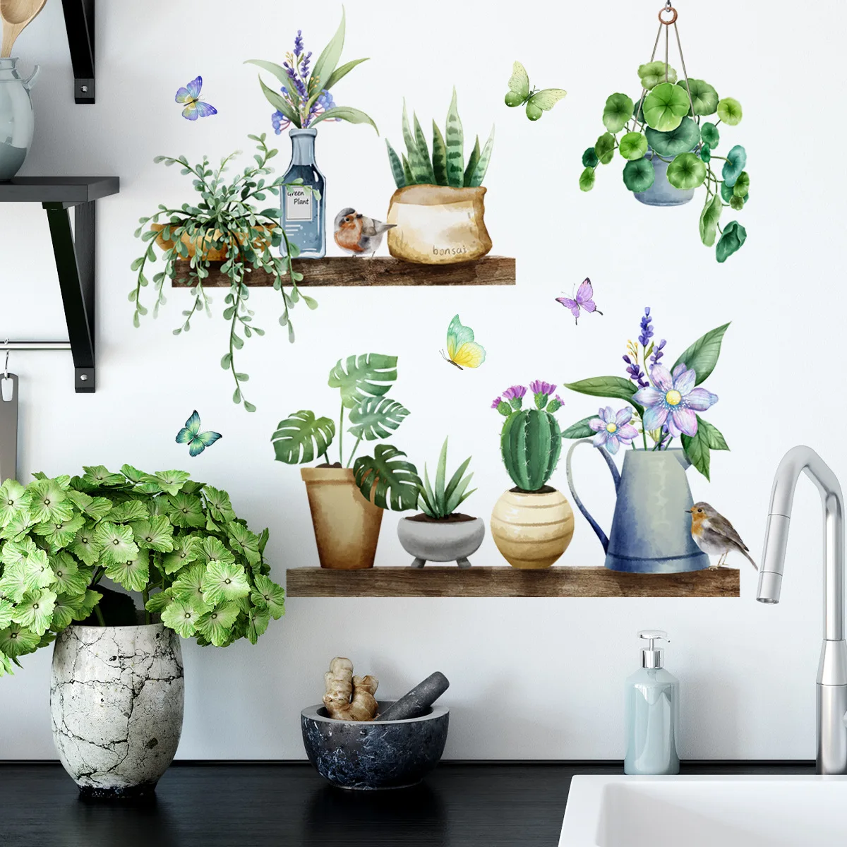 Cactus Potted Plant… - image