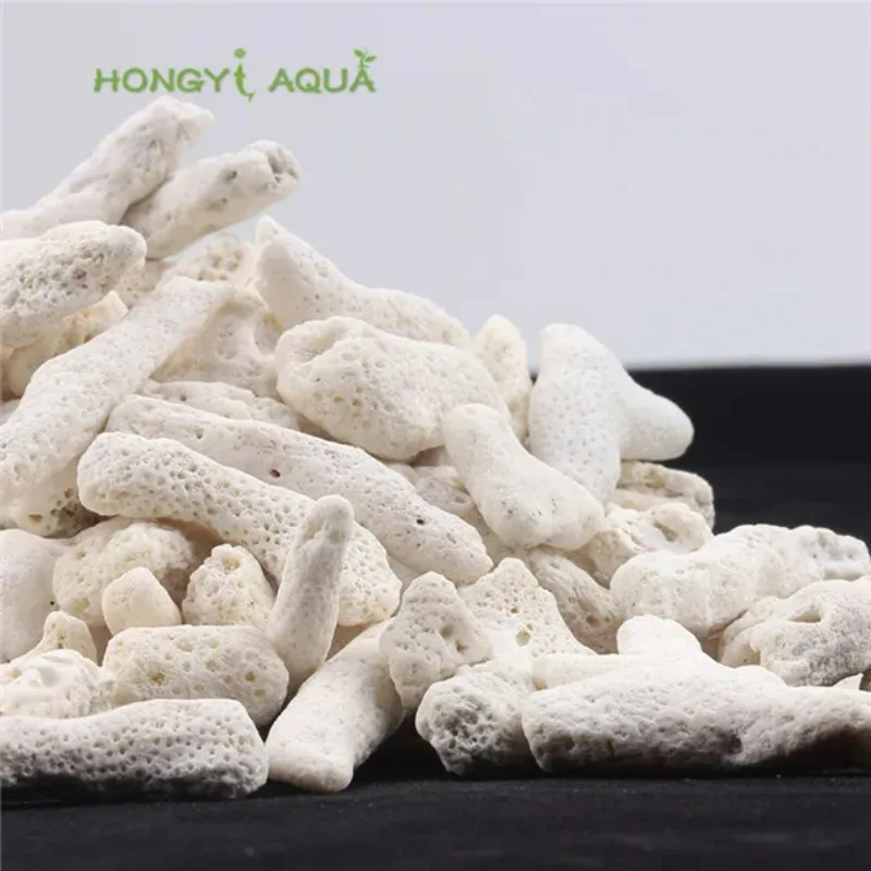 fish tank filter material coral bone natural coral bone filter media for fresh water&marine aquarium aquarium landscapes