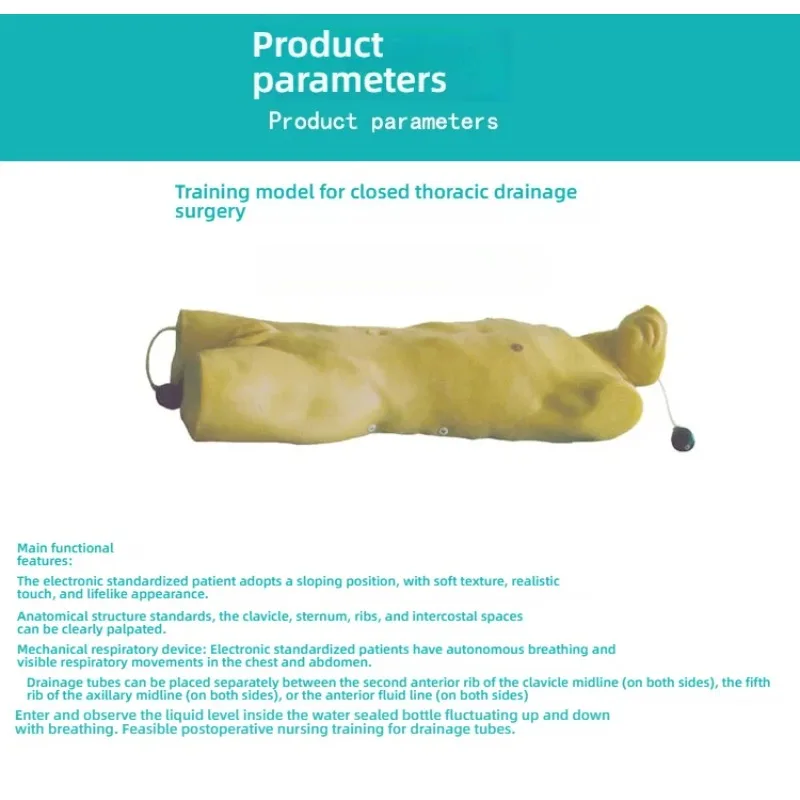 

unique Clinical Teaching Closed Thoracic Drainage Simulator Manikin PVC Chest Tube Insertion Training Model for Medical Schools