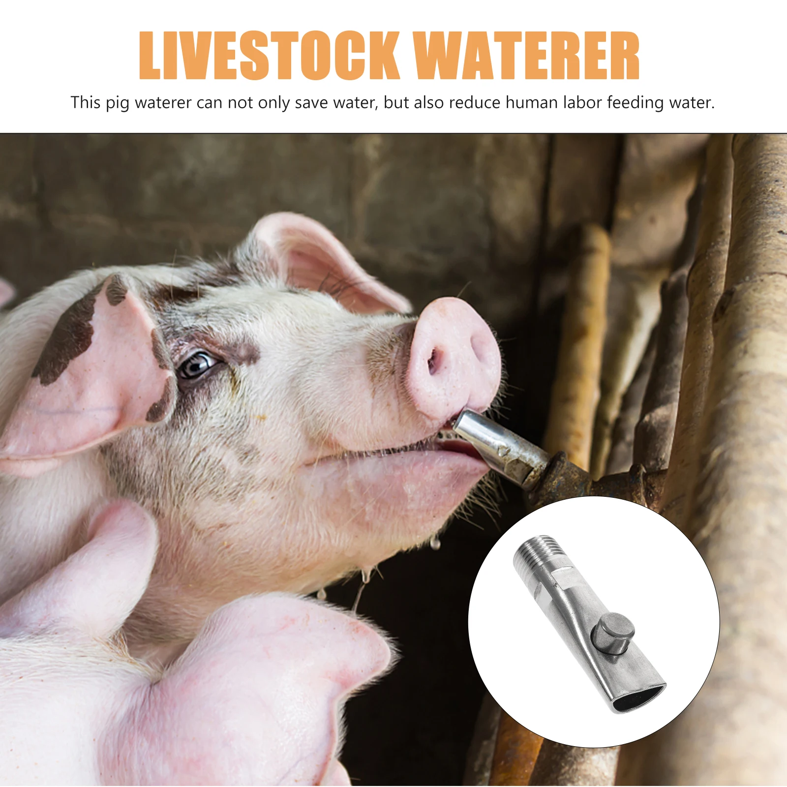 

5PCS Automatic Pig Waterer Durable Stainless Steel Livestock Feeder Tools for Piglet Drinking Nozzle Poultry Supplies Chicken