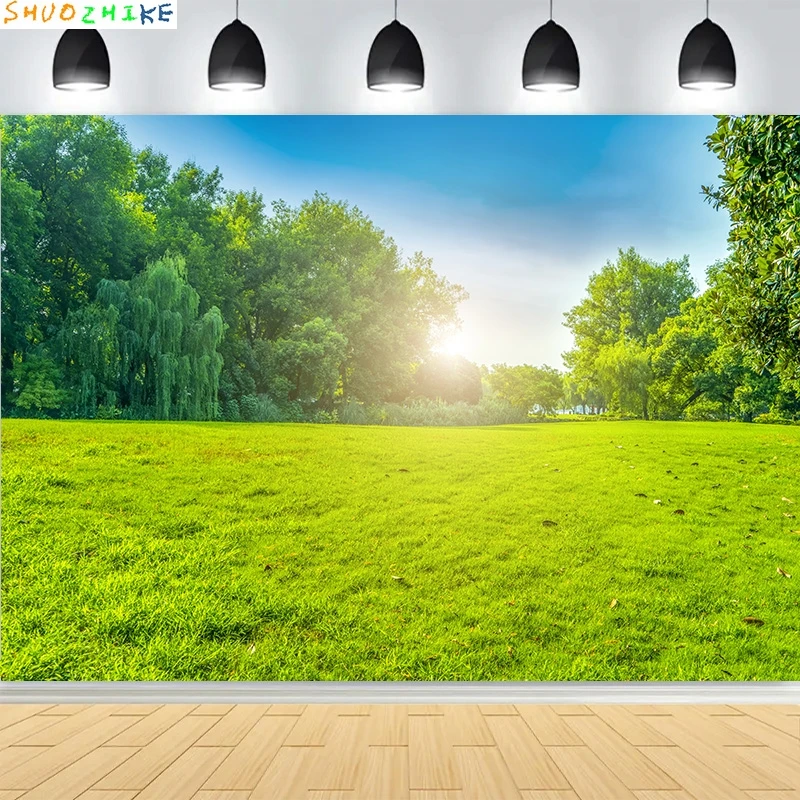 

Tranquil City Park Blue Sky Photography Backdrops Grass Landscape Bathed Morning Sunlight Garden Photo Background CG-01