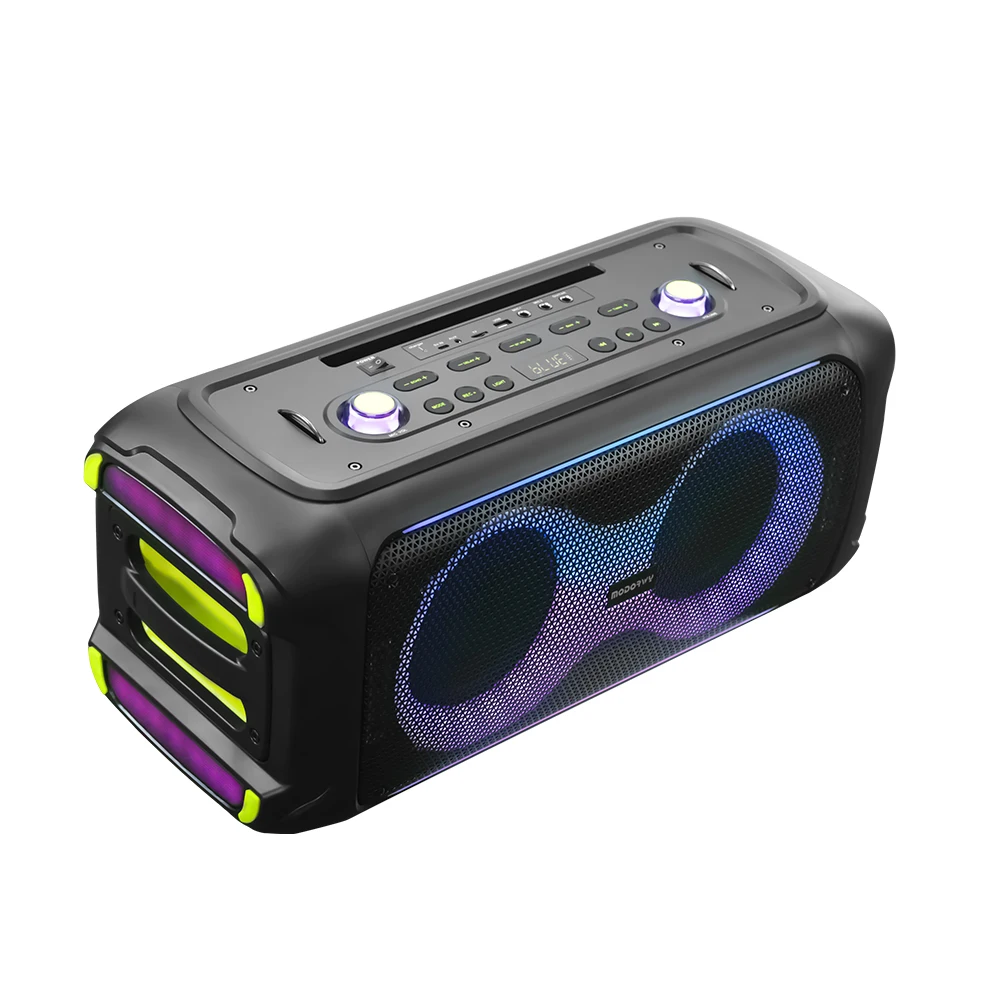 

Portable Wireless Karaoke Speaker 6.5 Inch*2 Outdoor DJ Part Speaker for Computer Use and Parties