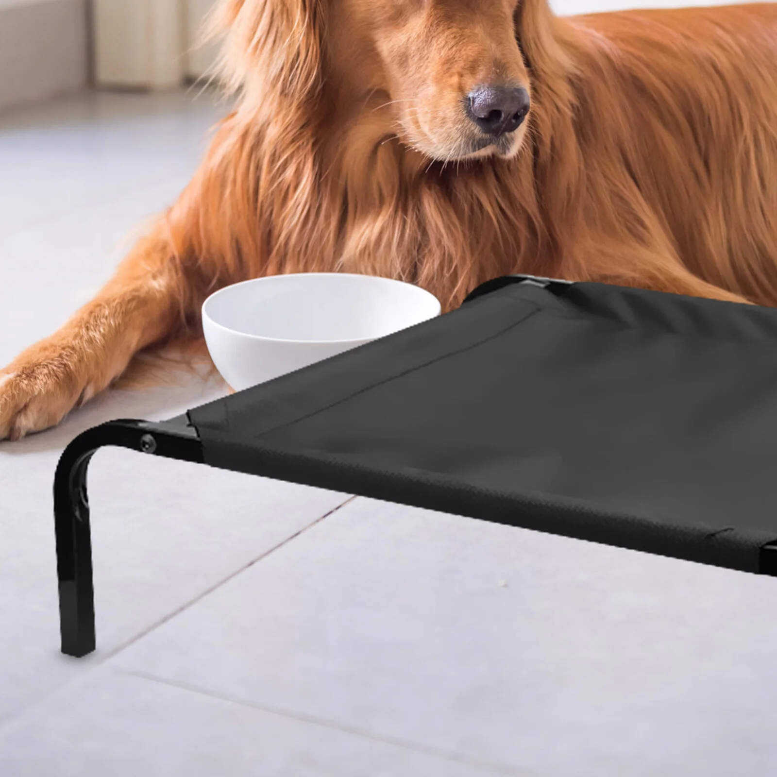 Bed Hammock Elevated Pet Dog Raised Cat Puppy Cot Replacement Mesh Breathableparts Free Standing Sleeping Kitten Comfortable