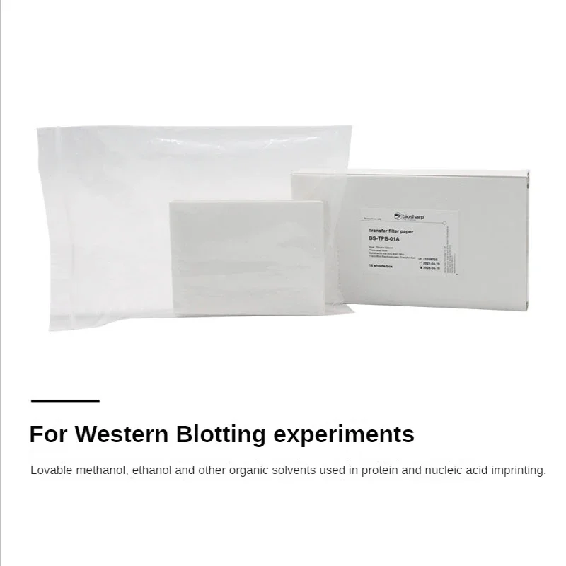 Biosharp Western Blotting Membrane BS-TPB-01A/B Transfer Filter Paper (7.5×10cm) Bole Model 1mm Nucleic Acid CNC Membrane