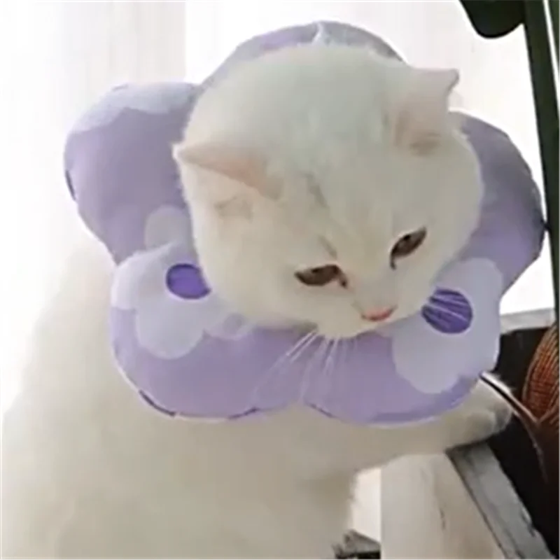 

Protective Collars For Dogs Cats Wound Healing Dogs Cats Anti-Bite Lick Cute Snapper Tiramisu Cat Collar Soft Adjustable Pet