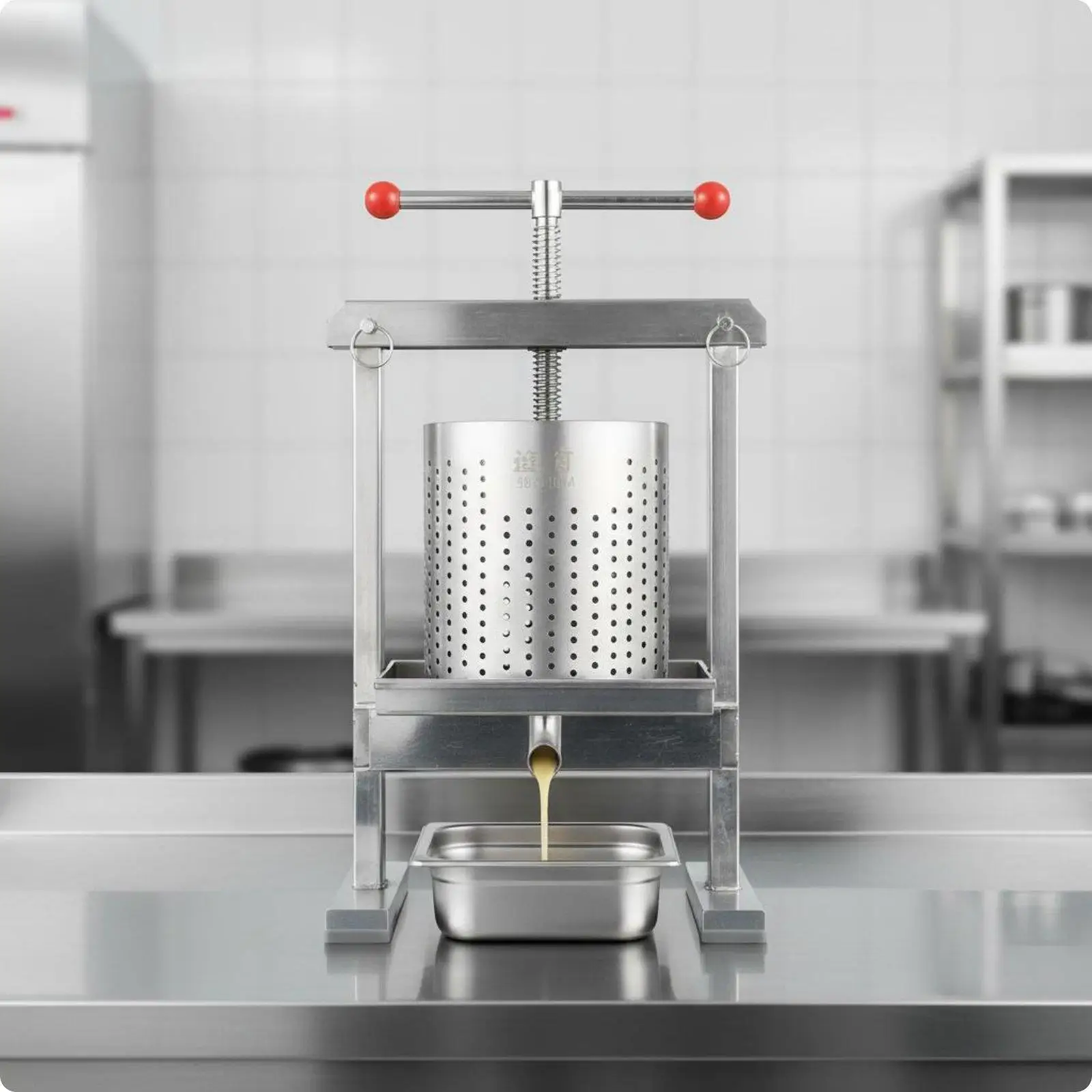 Vertical Press Juicer Manual Use Vegetable Presser Stable Base