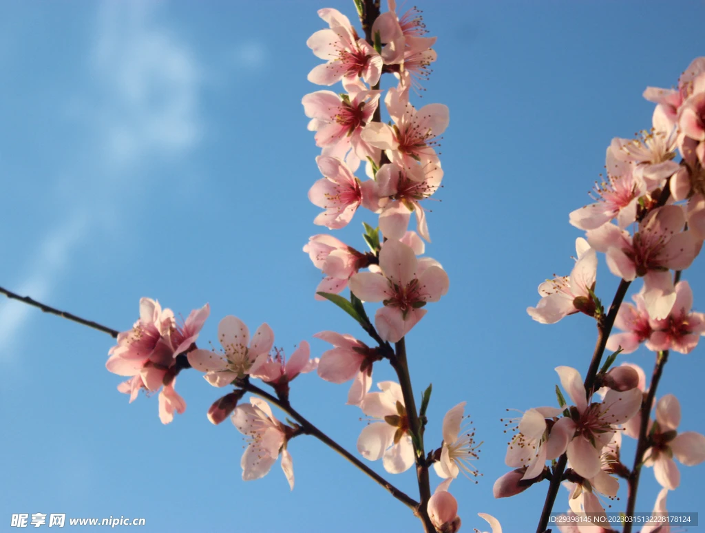 

MJX Hyper Go 14301 14302 14303 1/14 high speed RC cars spare parts original body shell