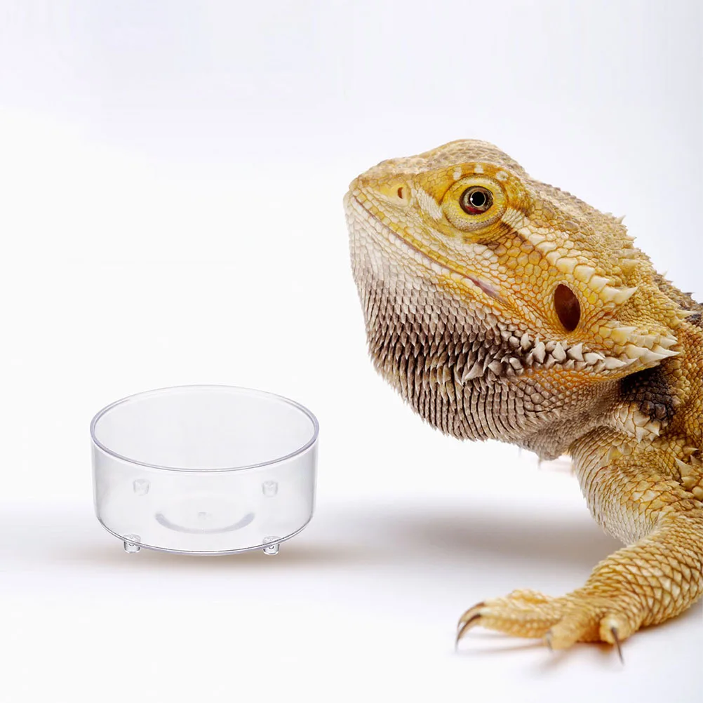 

10Pcs Transparent Reptile Food Dish Safe Acrylic Feeding Bowl for Lizards Snakes Water Container Decorative Terrarium Feeding
