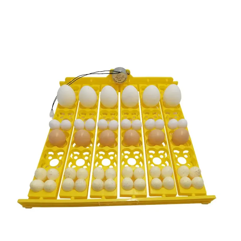 36 multifunctional household egg tray incubator accessories, chicken, duck, goose, quail automatic flipping egg tray