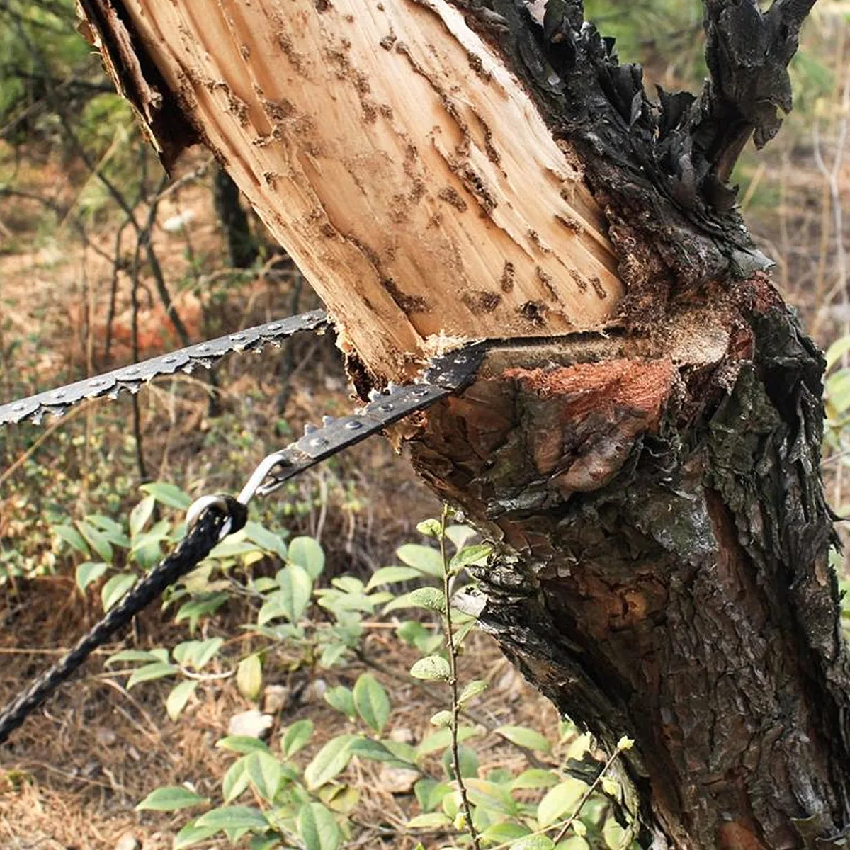 

Легкий ручной инструмент для резки дерева, пластика и металла с красной рукояткой для выживания на природе