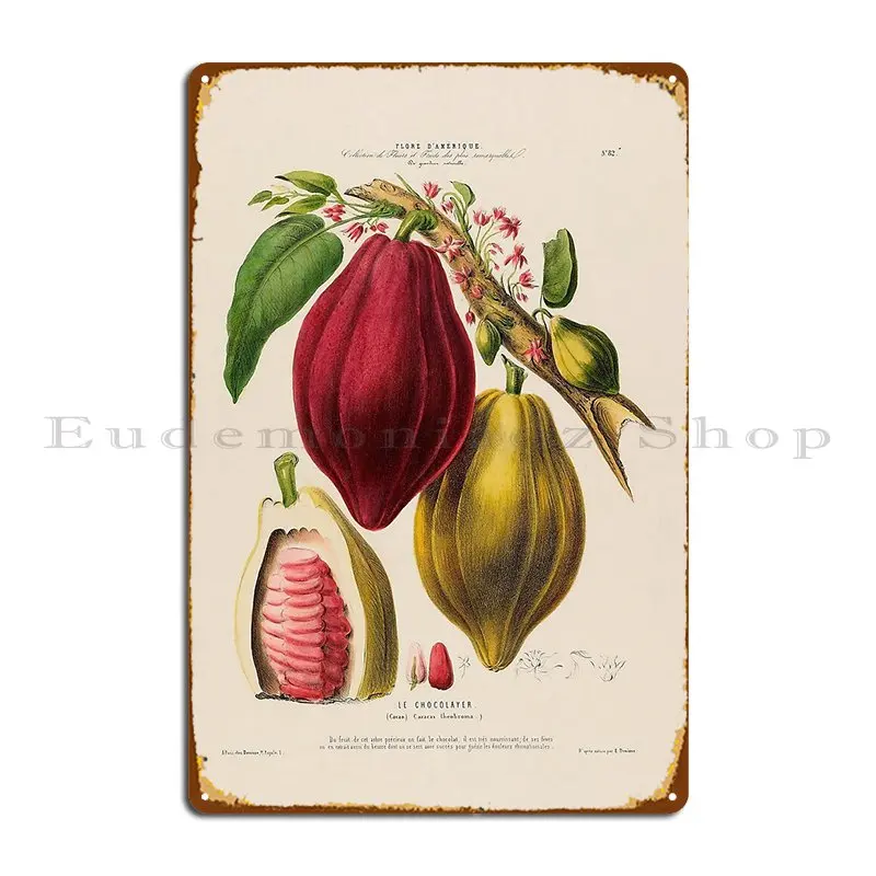 Cocoa Beans Life Cycle Metal Plaque Poster Create Designs Painting Home Plaques Tin Sign Poster