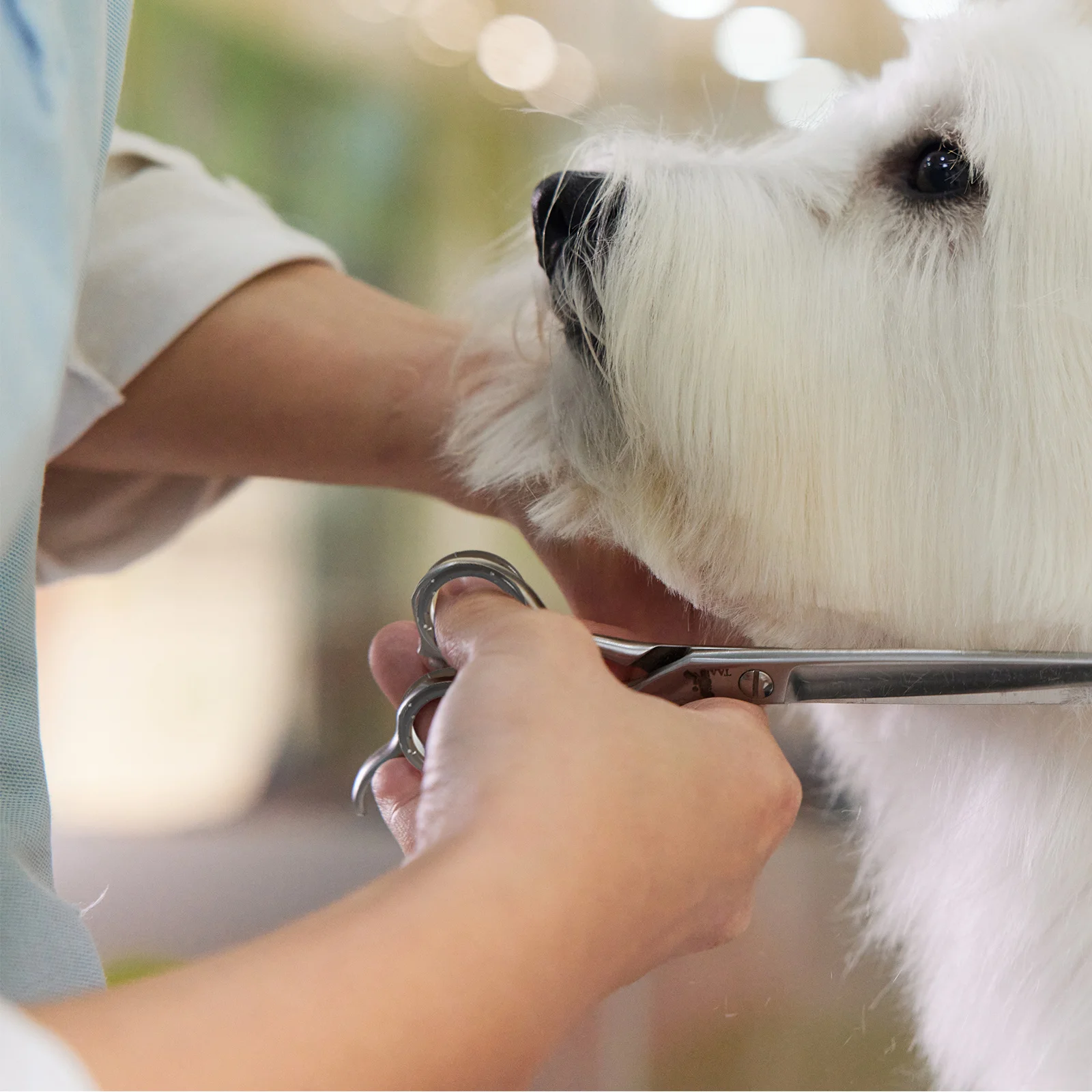 

12Pcs Dog Grooming Scissor Rings Silicone Thumb Inserts Grips for Precision Handling Reduced Hand Fatigue Versatile Grooming